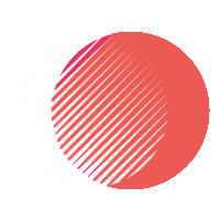Falak Digital Marketing Expert